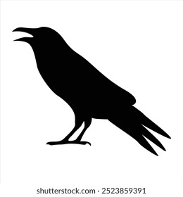 crow silhouettes. Bird vector illustrations. Crow silhouette icons isolated. Black White.