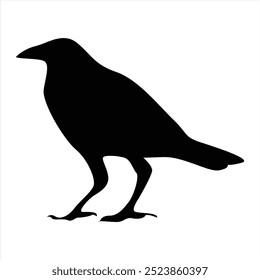 crow silhouettes. Bird vector illustrations. Crow silhouette icons isolated. Black White.