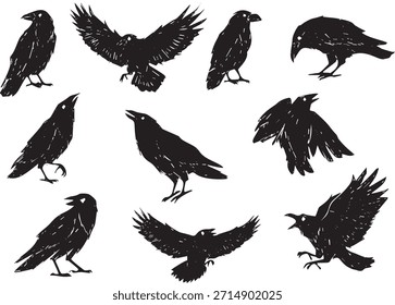Crow silhouettes set, black ink collection of various crows and ravens on a white background. Hand drawn crow silhouettes set in different standing and flying poses.