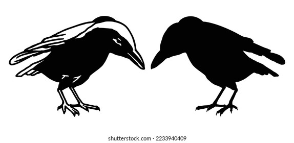 crow sitting logo. silhouette of raven logo of sitting