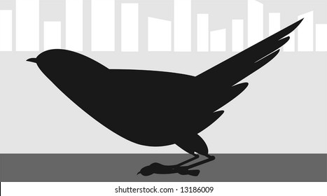 crow sitting on a floor	
