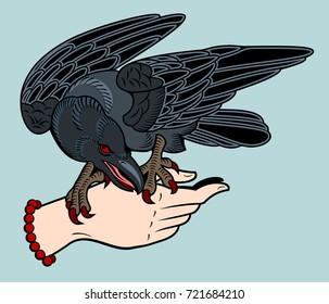 A crow sitting on a human hand. Old School Tattoo Style