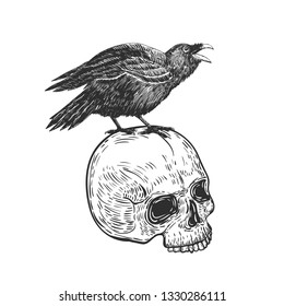 Crow sitting on human skull isolated on white. Vector illustration.