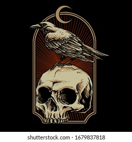 crow with skull vector illustration