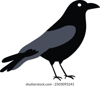 Crow standing clipart vector illustration isolated, simple flat design