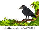 Crow standing on branch illustration