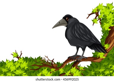 Crow standing on branch illustration