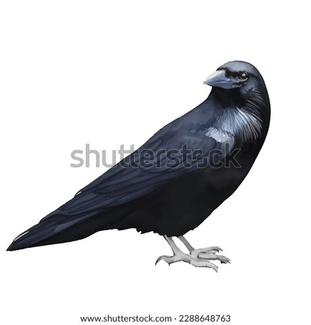crow with style hand drawn digital painting illustration