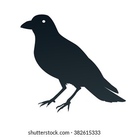 a crow symbol