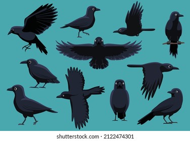 Crow Various Poses Cute Cartoon Vector Illustration