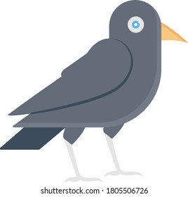 crow vector flat color icon 