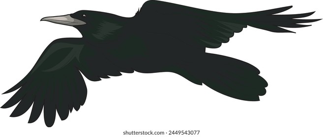 crow in vector illustration art