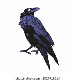 crow vector illustration, black horror raven