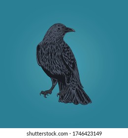 the crow vector illustration design 