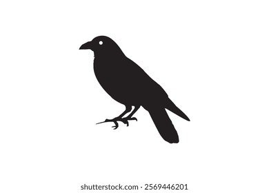 Crow Vector Illustration, Graceful Crow Vector Artwork