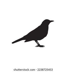 crow vector silhouette black vector eps 10.eps