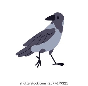 Crow walking. Black and gray feathered scavenger with beak, folded wings, going and looking back. Urban female raven. City fauna. Flat graphic vector illustration isolated on white background