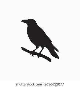 Crow Wild Bird Art Image