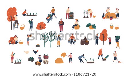 Crowd of tiny people gathering crops or seasonal harvest. Bundle of men and women collecting ripe fruits, berries and vegetables isolated on white background. Flat cartoon vector illustration.