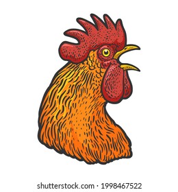 crowing cock rooster head color line art sketch engraving vector illustration. T-shirt apparel print design. Scratch board imitation. Black and white hand drawn image.