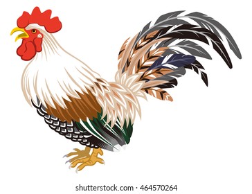 Crowing Rooster Isolated