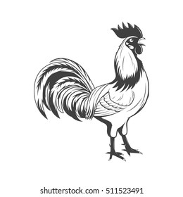 Crowing rooster, symbol of 2017 on the Chinese calendar. Vector EPS8 illustration.