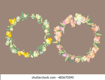 crown flowers set  side way and top isolated on white background,