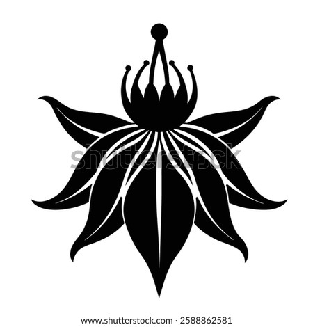 Crown imperial flower vector on white background