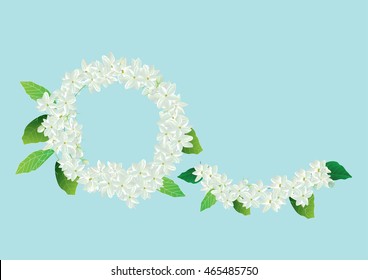 Crown jasmine flowers with leaves  top view  and side view .vector illustration