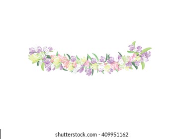 crown mix color  flowers isolated on white background,