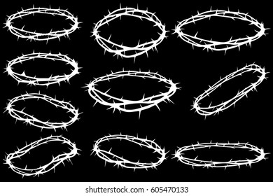 crown of thorns