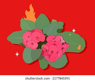 Crown of Thorns flower on fire, hot summer and flowers concept illustration, flat bright and bold style, cute and fun summer print background design