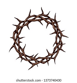 crown of thorns image isolated on white background 