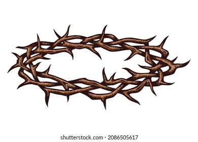 crown of thorns image isolated on white background