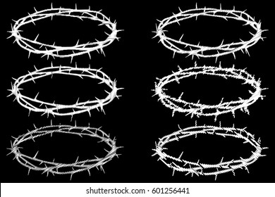 crown of thorns, Jesus Christ's - crown 