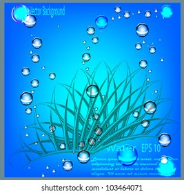 Crown. A vector template of the poster, the text. Stylish bubbles, lines, a wave. Water. eps 10