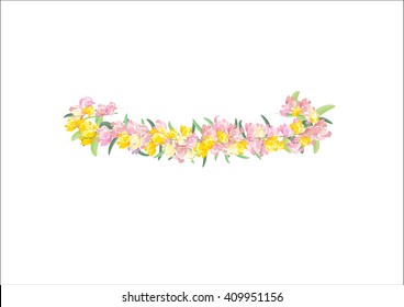 crown yellow  flowers isolated on white background,