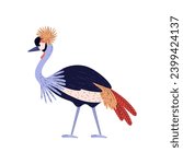 Crowned Crane exotic bird, flat vector illustration isolated on white background. Exotic African or grey crowned crane a bird of eastern and southern Africa.