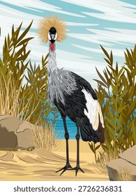 Una grúa coronada se encuentra en una orilla arenosa del río. Ave salvaje de África. Paisaje realista de la Vertical del Vector.