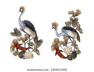 Crowned cranies, koi fish, lilies and leaves isolated. Vector