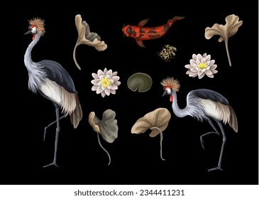 Crowned cranies, koi fish, lilies and leaves isolated. Vector