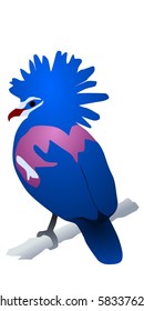 crowned pigeon