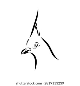 Crowned pigeon, bird, hand-drawn vector sketch