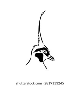 Crowned pigeon, bird, hand-drawn vector sketch