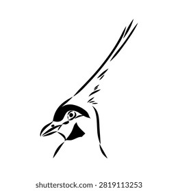 Crowned pigeon, bird, hand-drawn vector sketch