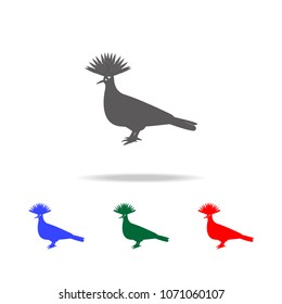 Crowned pigeon icon. Elements of Australian animals multi colored icons. Premium quality graphic design icon. Simple icon for websites web design mobile app, info graphics on white background