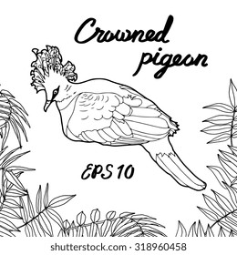 Crowned pigeons with palm leaves. Vector illustration