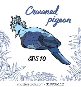 Crowned pigeons with palm leaves. Vector illustration