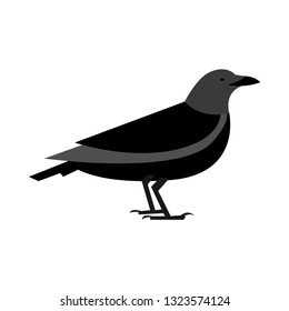 crow/raven flat icon.You can be used crow/raven icon for several purposes like: websites, UI, UX, print templates, presentation templates, promotional materials, web and mobile phone apps