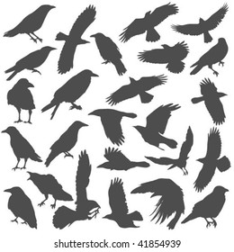 Crow/Raven Silhouettes